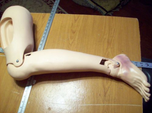 MN- FLESHTONE MANNEQUIN MALE BRUISED LEFT LEG GAG GIFT HALLOWEEN DUMMY REALISTIC