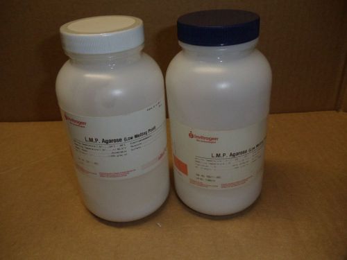 2x100g Bottle Invitrogen LMP Ultra Pure Agarose Low Melting Poing 9012-36-6