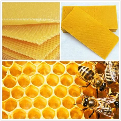 30Pcs Honeycomb Foundation Beehive Wax Frames Waxing Beekeeping Equipment Bee