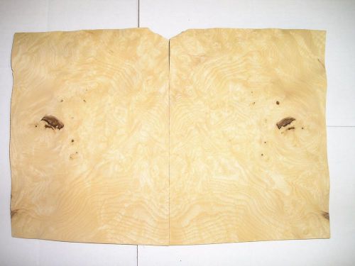 White Ash Burl Wood Veneer. 8 x 10.5, 12 Sheets.