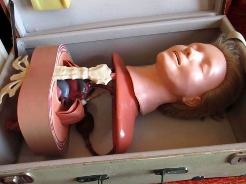 Vintage~Anatomical Training  Anne Manikin Female Anatomic Anne Dummy Respiratory