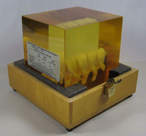 Hologic DPA/QDR-1 Anthropomorphic Spine Phantom 030-1967 Vertebra Chiropractic