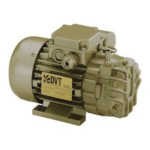 DEKKER VACUUM TECHNOLOGIES, INC. RVD005L-220V/1Ph/60Hz Vacuum Pump,13/32