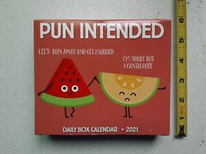 Pun Intended Daily Box Calendar 2021 - New Sealed - Willow Creek Press