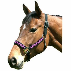 Intrepid International 126003SV Horse Halter Leather Crown Padded Nose, Blac