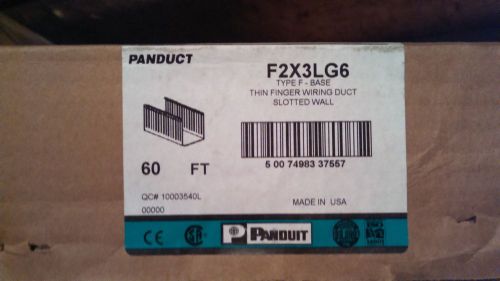 Panduit wiring duct, F2X3LG6, 2in x 3in x 6ft