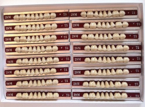 Dentsply New Hue Dentist Dental Lab Porcelain Denture Teeth - 29M  U  73