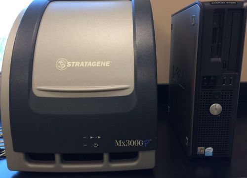 Stratagene mx3000p real-time pcr system for sale