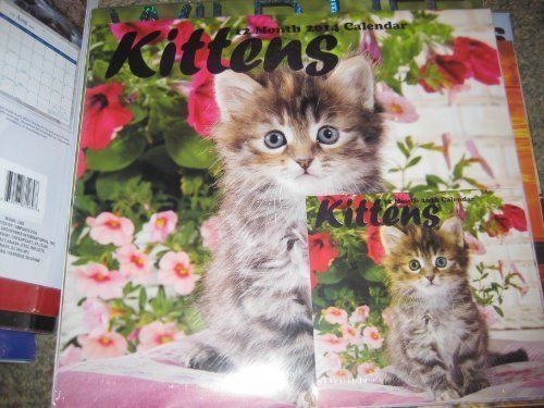 Kittens 2014 12 Month Calendar and Mini Calendar