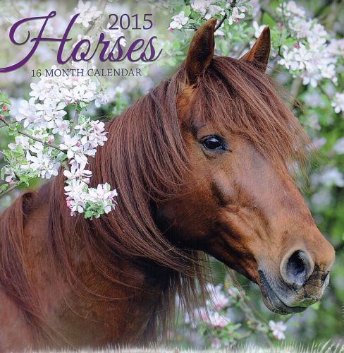 2015 16 Month HORSES 12x12 Wall Calendar Farm Animals NEW &amp; SEALED
