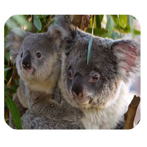 Koala Mouse Pad / Mice Mat 001