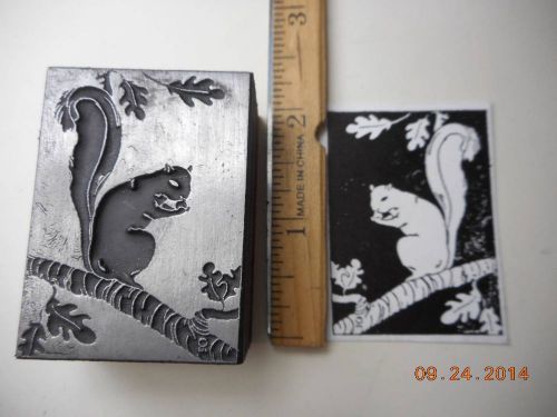 Letterpress Printing Printers Block, Squirrel eating Nut in Oak Tree