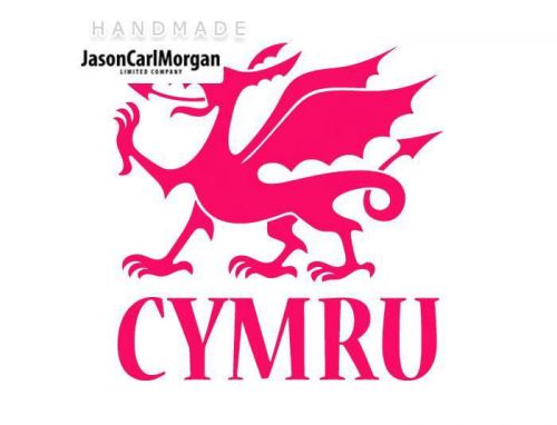 JCM® Iron On Applique Decal, Cymru Neon Pink