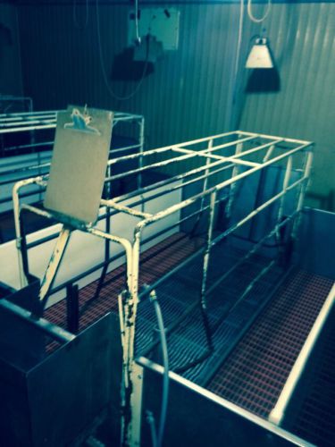 20 Farrowing stalls for sow lactation stage