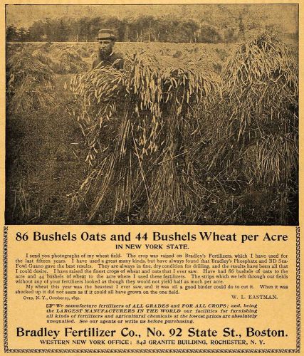1893 ad bradley fertilizer oat wheat bushels w. l. eastman agricultural aag1 for sale