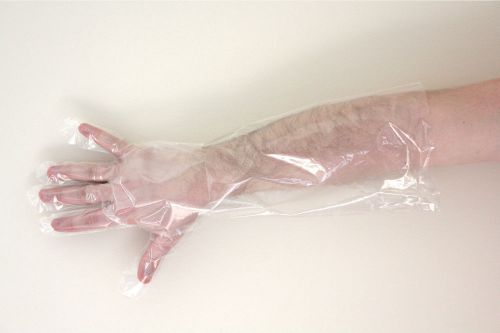 CLEAR PLASTIC ELBOW GLOVES LARGE 132 PACK FREE SHIPPING
