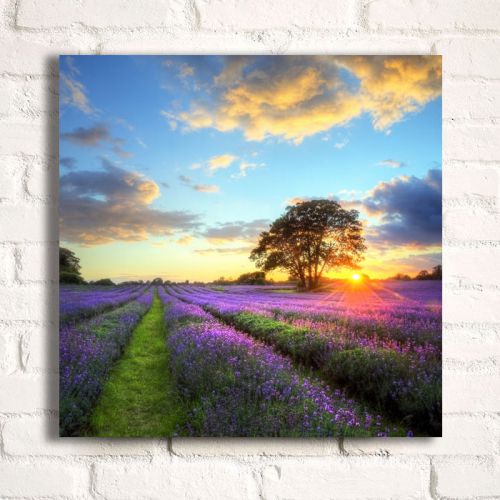 Custom frameless painting print on oil canvas, wall art pictures 27.56&#034; x 27.56&#034; for sale