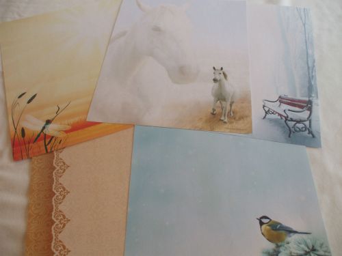 20 sheets Decorative paper stationary 8-1/2 x 11 dragonfly, horses, snowbench