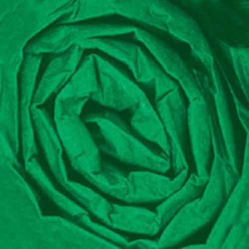 20&#034; x 30&#034; Kelly Green Gift Grade 10# Tissue Paper (Case of 480 Sheets)