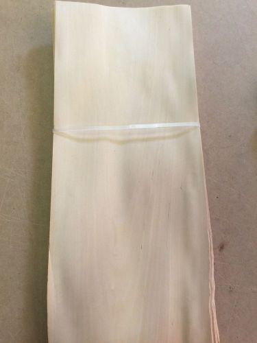 Wood veneer magnolia 8x21 24pcs total raw veneer &#034;exotic&#034; mag2 9-3-15 for sale
