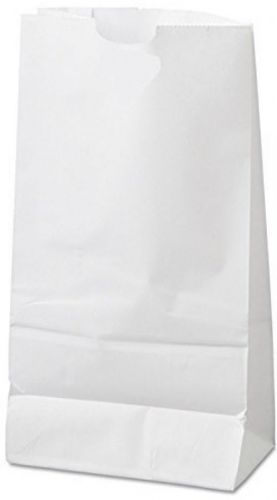 White Rainbow Paper Bags 6-LB 100-Pcs. Multi Use Party Lunch Gift Recyclable