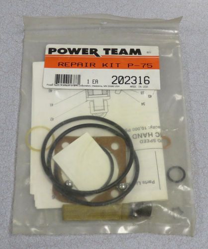 POWER TEAM Repair Kit P-75  M/N: 202316