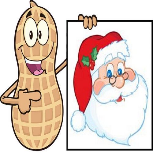 30 Custom Christmas Peanut Personalized Address Labels