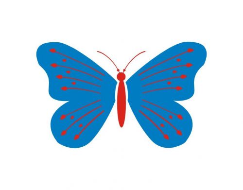 Butterfly Specimen Car Window Truck / Van Tempo Sticker Vinyl Decals-1816