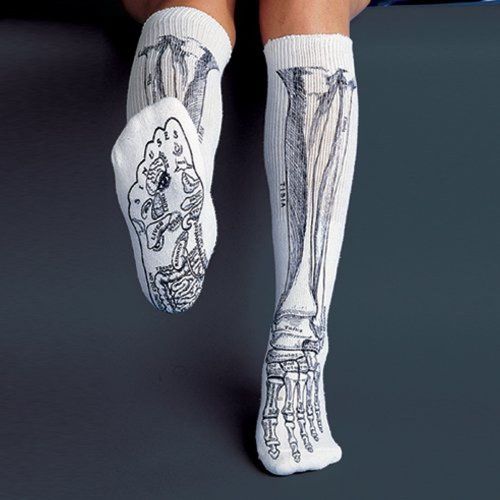 Anatomical Chart Co. - Bone Socks - - White