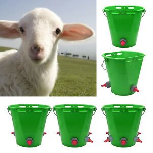 Portable Lamb Milk Bucket Milk Feed for Cattle Horses Cow Lambs Livestock