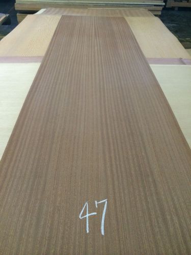 Wood Veneer Ribbon Stripe Sapele 24x84 1pcs PSA Backed  &#034;EXOTIC&#034; RKO 47