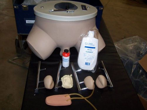 Nasco Life Form Simulator Prostate Exam model LF901-1322 ~Nice