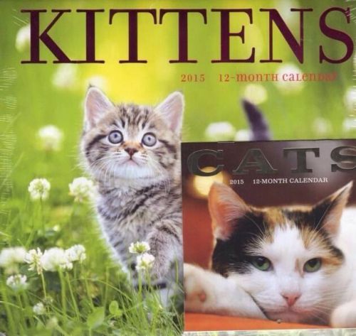 2015 12-Month Kittens Calendar W/Mini Cats Calendar. Free Shipping!