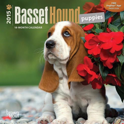 2015 BASSET HOUND Puppies Mini Wall 7x7 Calendar NEW &amp; SEALED
