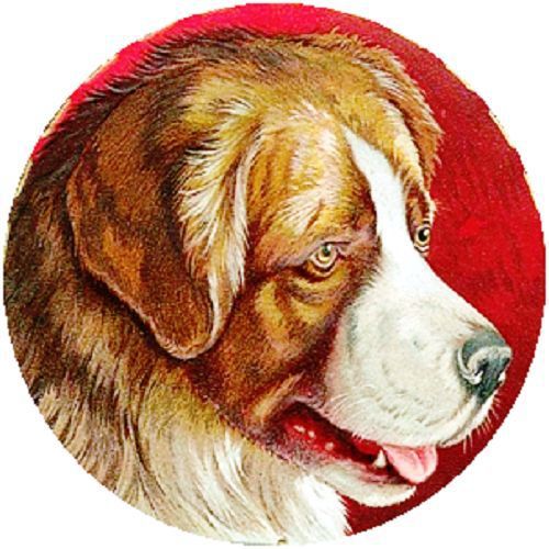 30 Custom Vintage Dog Personalized Address Labels