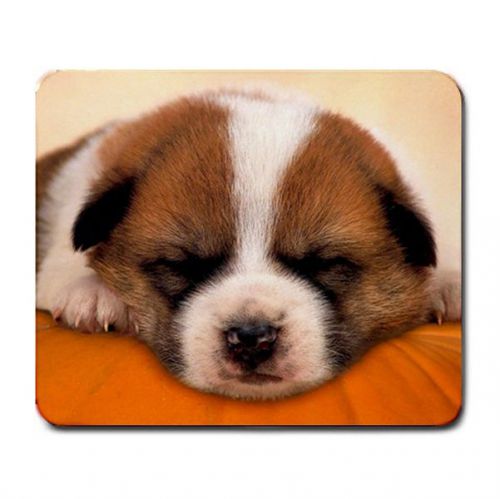 Puppy training to command to sleep vibrant mouse pad