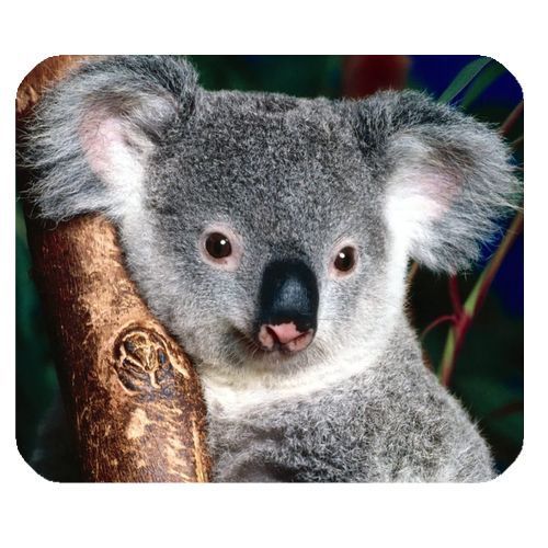 Koala Mouse Pad / Mice Mat 002