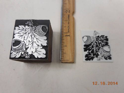 Printing Letterpress Printers Block, Acorn Nuts attached to Oak Leaves