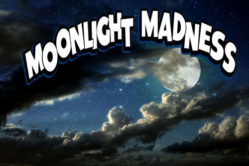 Moonlight Madness Sign Vinyl Banner /grommets 30&#034; x 72&#034; (6ft) made in USA bxrv6