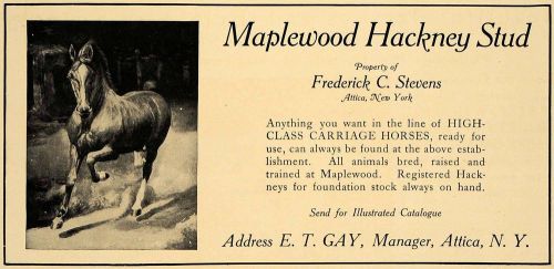 1907 Ad Equine Maplewood Horse Breeder Hackney Stud Frederick Stevens CL8