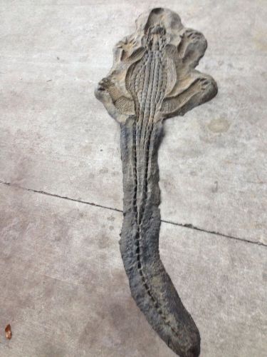7Ft Alligator Concrete Stamp Skin Mat Rubber Mold Form