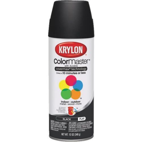 ColorMaster Decorator Indoor/Outdoor Spray Paint-FLAT BLACK SPRAY PAINT