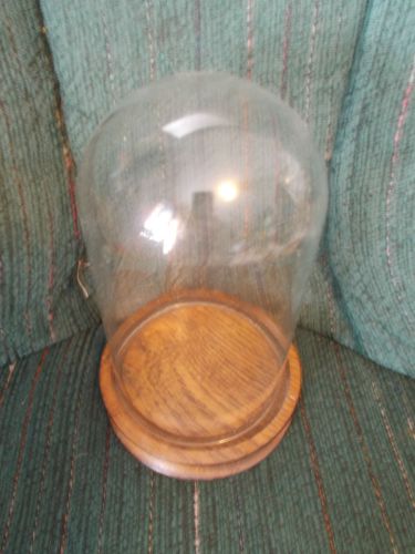 Approximately 7.5&#034; tall domed glass display case w/wood base