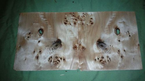 14 Leafs @ 6 x 6 Mappa Burl Wood Veneer (v1658)