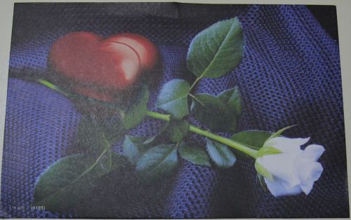 New White Roses Red Hearted Mailers Envelope