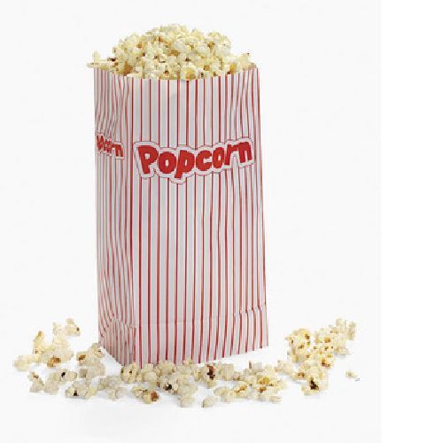 Popcorn Paper Bags / 24 Bags / PARTY SUPPLIES / MOVIES (3/285)