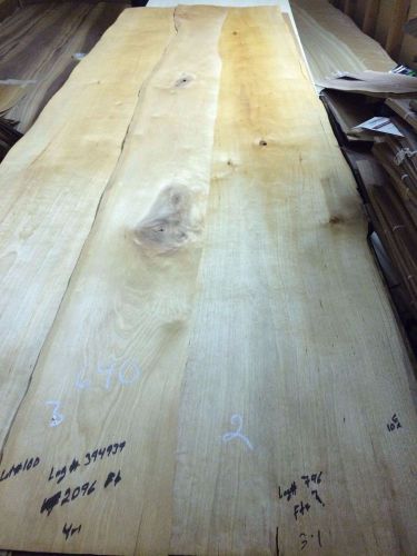 Wood Maple nutts Veneer 102x9,14,14 total 3 pcs RAW VENNER N690.RUSTIC.