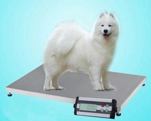 New 150 kg Vet Veterinary Animal Greyhound Dog Scale Floor Scales 900 * 600 D