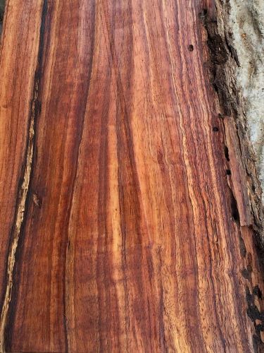 Curly ambrosia spalted live edge hawaiian koa reclaimed slabs 2@24&#034;x3-8x2&#034; for sale