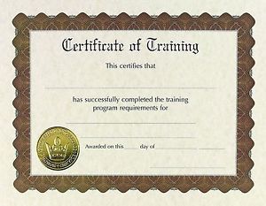 Great Papers! Training Stock Pre-Printed Gold Foil and Embossed Certificate 8...